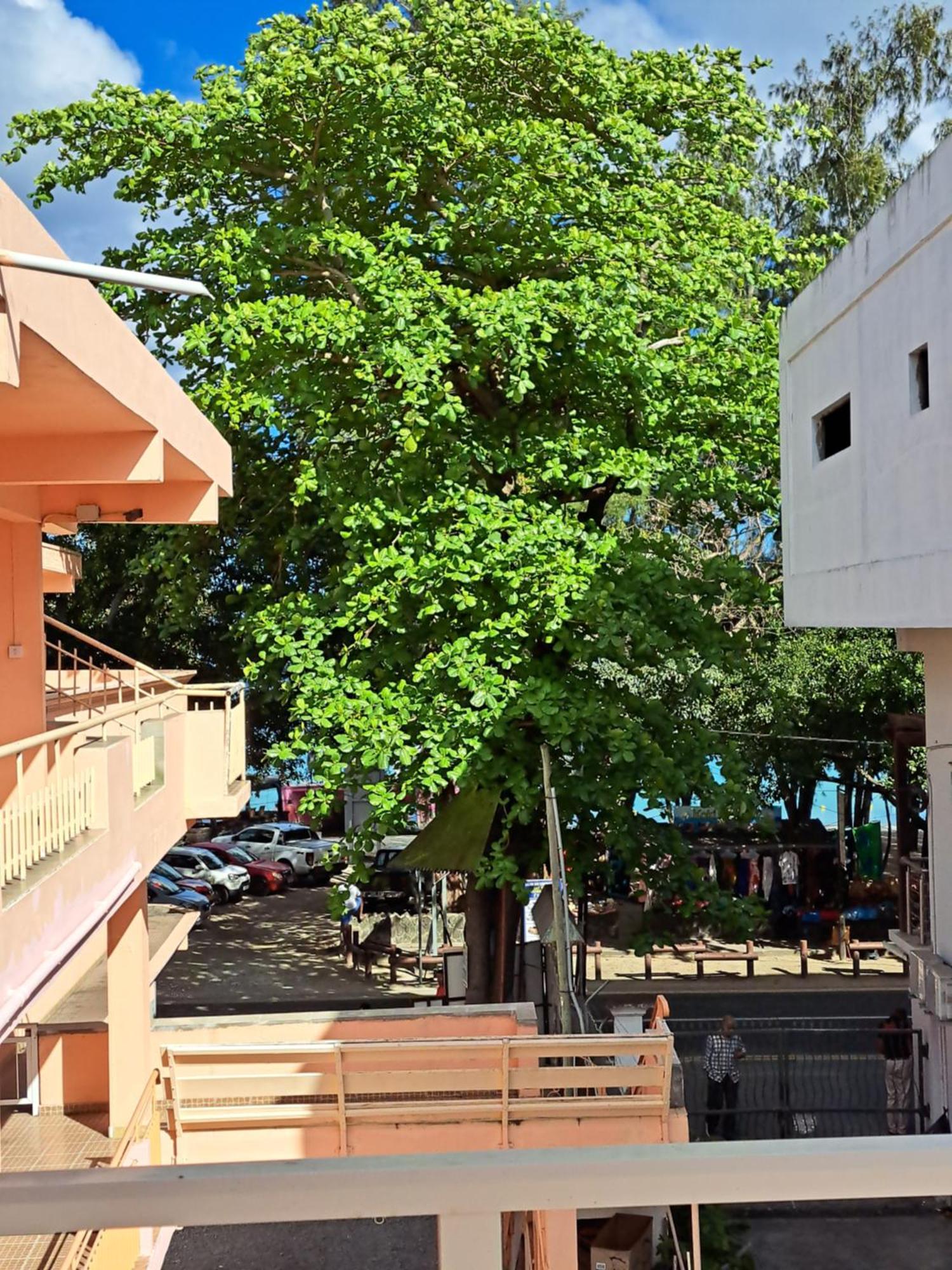 Bano Beach Residence - Grand Bay Beach Exterior foto